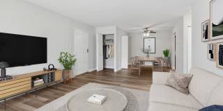 Poplar Glen Gallery 5