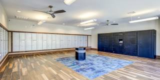 Terra Gallery 14