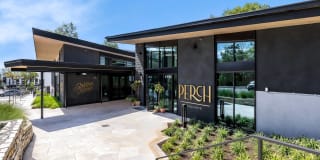 Perch Gallery 18