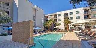 Mason Oliver Apartments Gallery 11