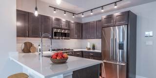 Abraxas at 90 State Gallery 4