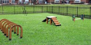 Green Trails Gallery 20