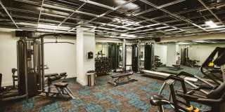 Main2525 Gallery 107