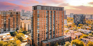 Aster Aster Gallery 1