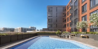 The Hazel The Hazel Gallery 1