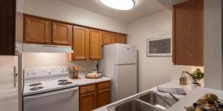 Village East Gallery 12