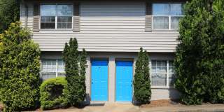 The Carolina Gallery 19