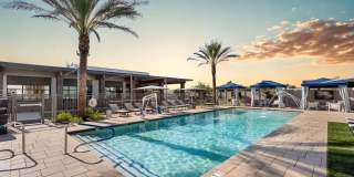 The Aster at Mountain Vista - BRAND NEW Gallery 1