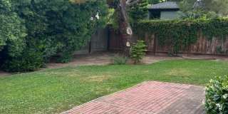 Adorable home in San Carlos with large yard Gallery 17