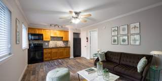 220 West Alabama Apartments Gallery 5