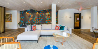 Agave Gallery 66