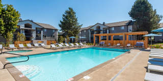 Lumina Apartments Gallery 16