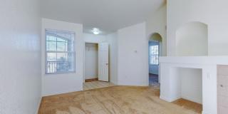 Tiburon Gallery 3