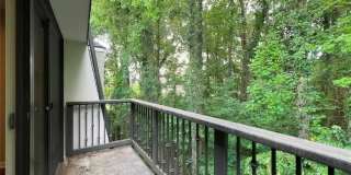 3312 Pine Heights Drive NE Gallery 25