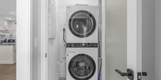 19 Vip Island Gallery 28