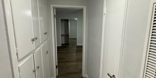 6536LAM Gallery 6