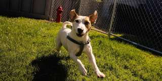 Renew on Summerfield Gallery 23