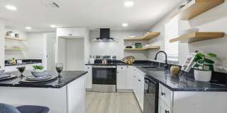 Spacious Olympia Hills Home Near Randolph AFB with a Massive Private Backyard! Gallery 14