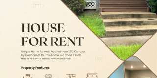 Single Family Home Gallery 1