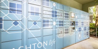 Ashton at Waterford Lakes Gallery 33