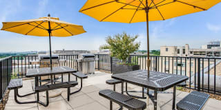 The York and Potomac Park Gallery 3