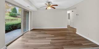The Forest Apartments Gallery 15