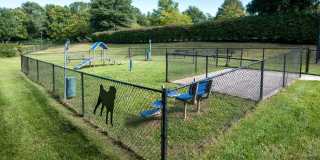 Alvista Bowie Gallery 18