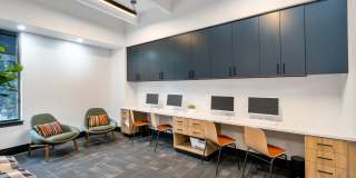 Elm at Panorama Gallery 29