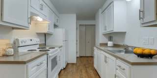 TownCenter Gallery 8