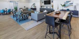 Argyle Lake at Oakleaf Town Center Gallery 22