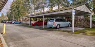 Park Ridge Apartments Gallery 6