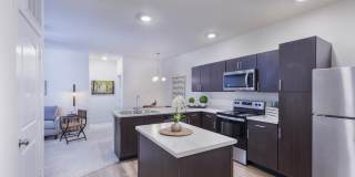 Aventura at Towne Centre Gallery 24