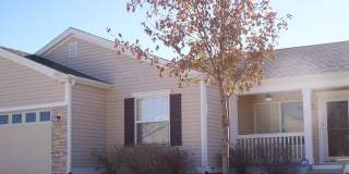 North-east one level living. Gallery 1