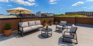 341 Herkimer Street Gallery 14