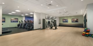 The Victor Gallery 9