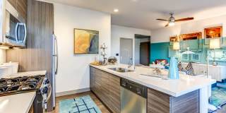 The Douglas at Stonelake Gallery 10