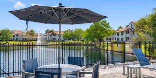 Boca Arbor Club Gallery 52