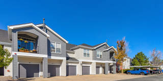 Windsor Meadow Hills Gallery 29