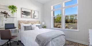 The Horizon at Springdale Park Gallery 6