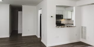 Alister Falls Church Gallery 10