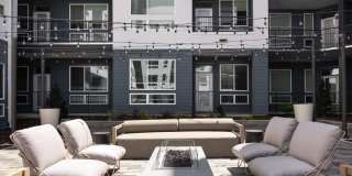 RYE Central Park Gallery 12