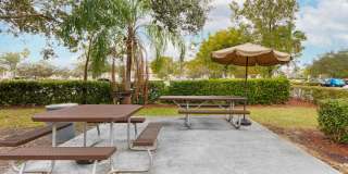 Fort Lauderdale - Davie Gallery 24