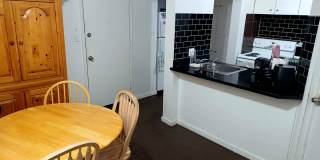 Large Private Furnished Girl  Room Downtown ASAP - Balcony, Storage and more Gallery 27