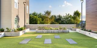 Modera LoSo Gallery 24