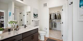 The Navigator The Navigator Gallery 9