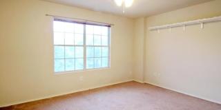 7326 Tamburo Gallery 32