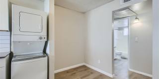 Rise at the Palms Gallery 43