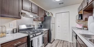 St. Johns Forest Gallery 1