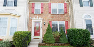 4991 BRISTLE CONE Circle Gallery 1
