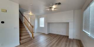 6142 Novelty St. Gallery 3